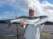 sea fishing trips somerset